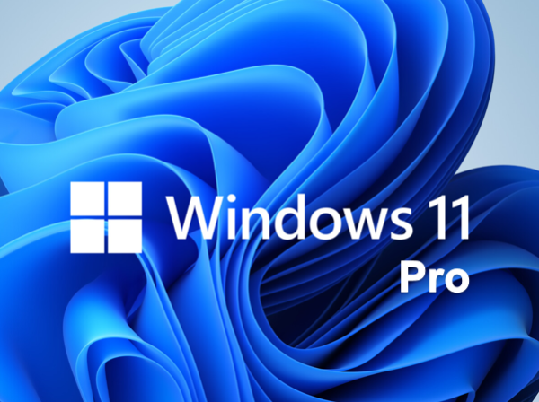 Windows 11 Professional 64bit Ausführung, ESD